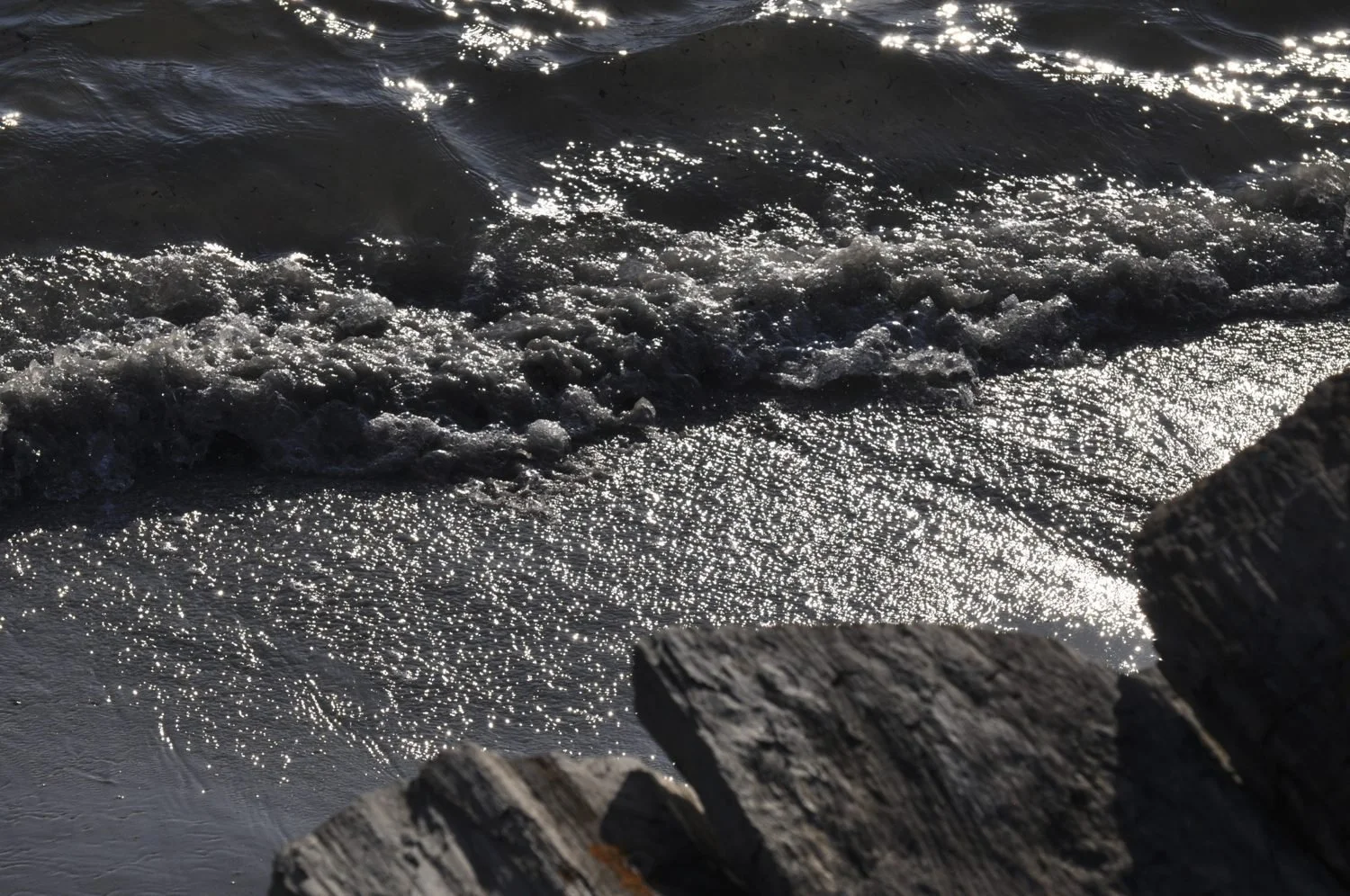 maine-shoreline.jpg