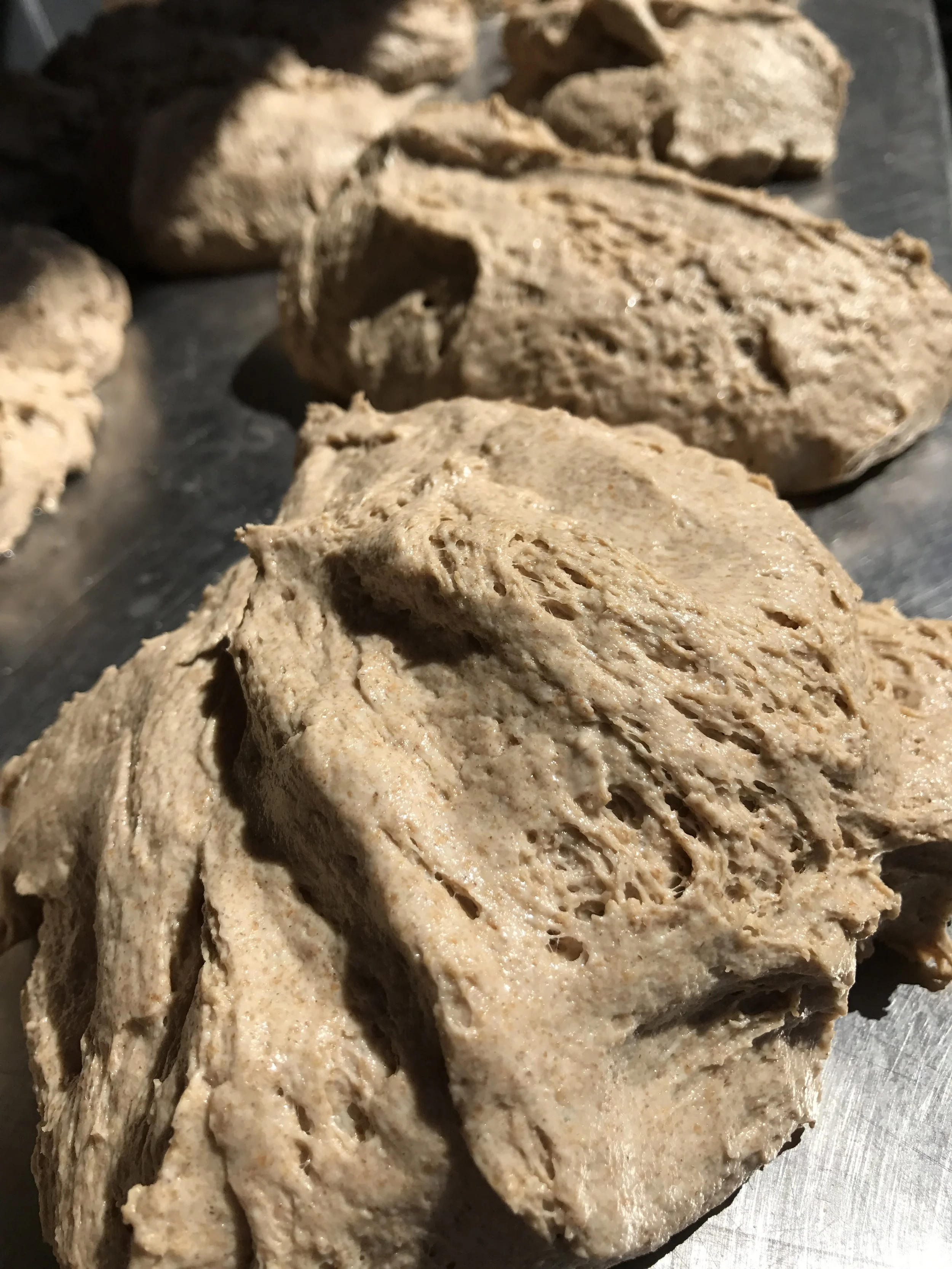 Intro to Sourdough Starter