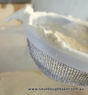 Foods for the Ferment