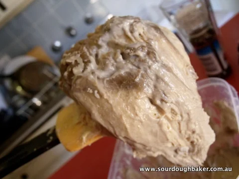 Maintaining the Starter