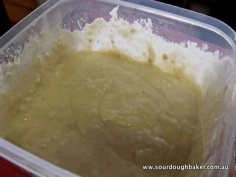 Healing Your Starter Sourdoughbaker