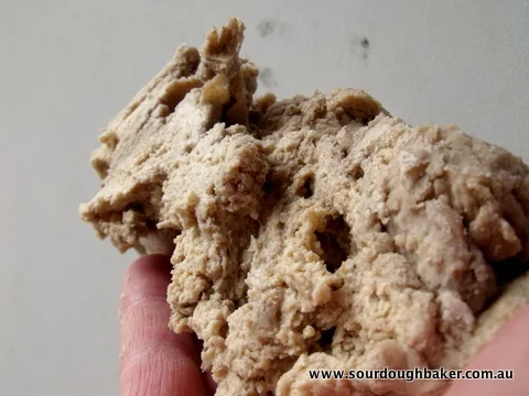 Dough Starter (Desem)