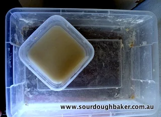 7 Day Sourdough Starter Recipe