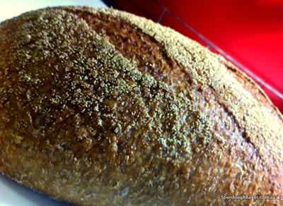 Basic White Sourdough