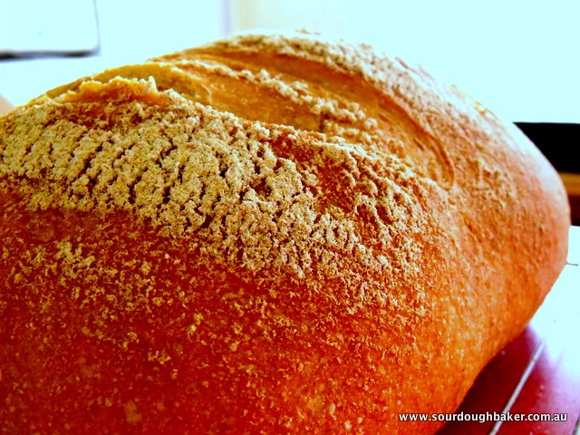 Continental Bread
