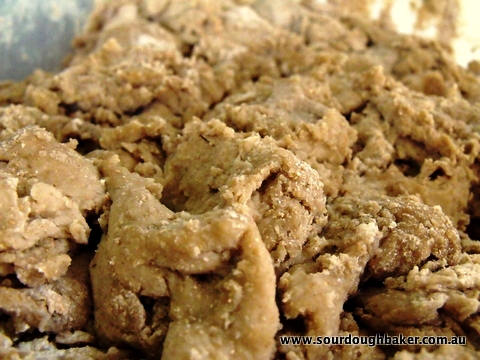 Using a Desem Starter