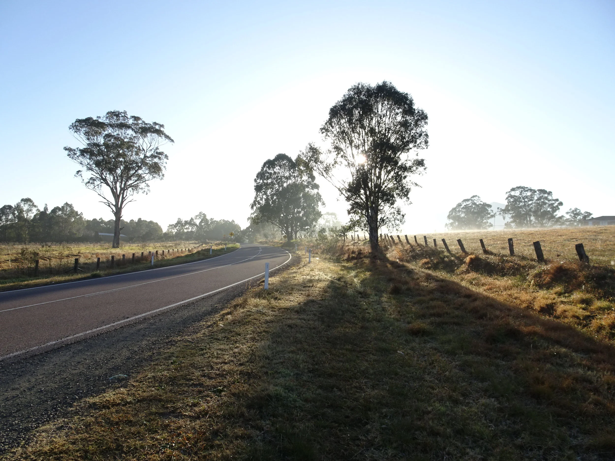 Heading South for the Winter