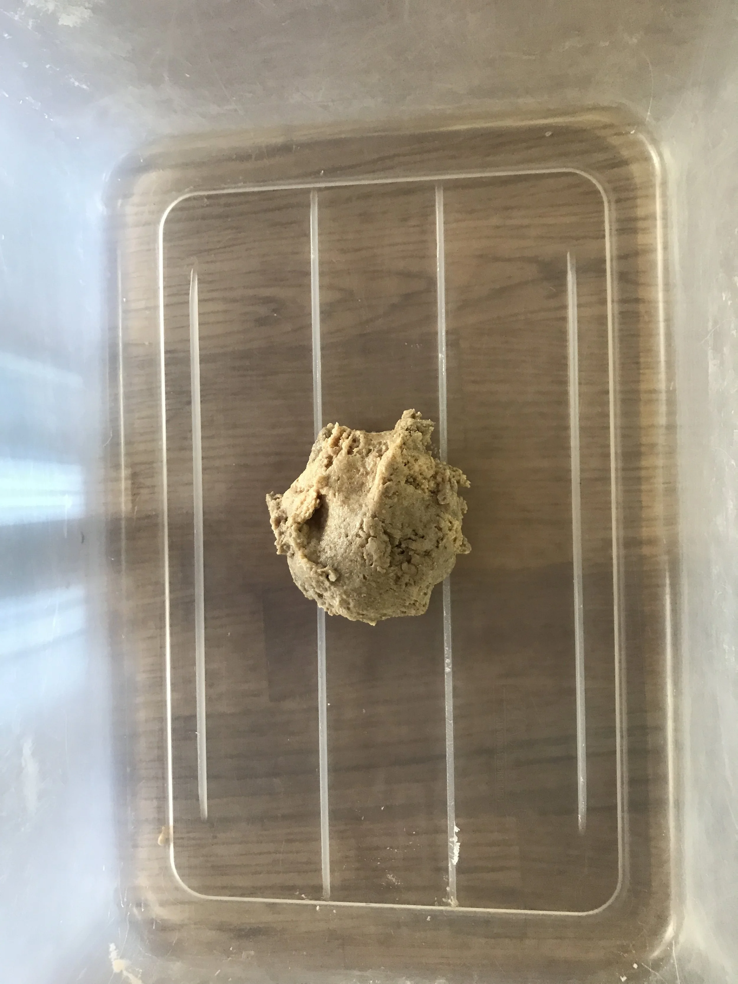 Desem, waiting for some flour and water.