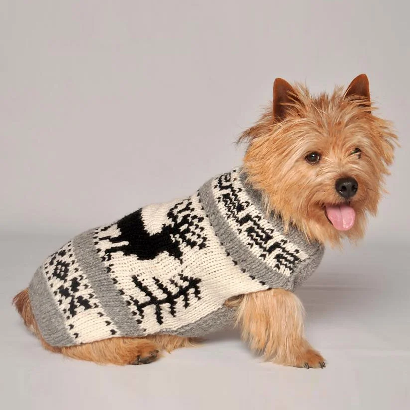 reindeer-shawl-dog-sweater-by-chilly-dog.jpg