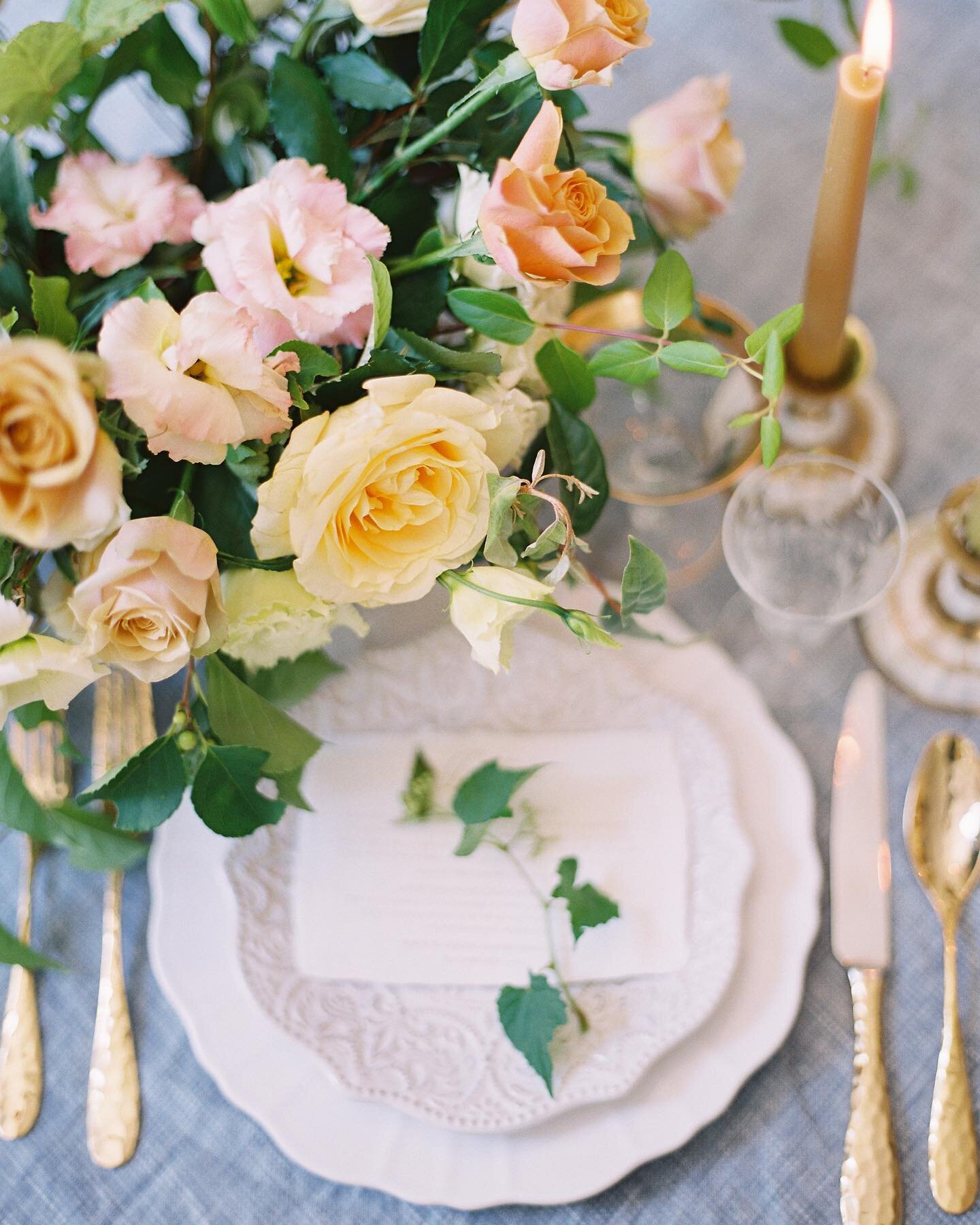 One way to make your wedding stand out from the rest is to add unique touches to your dinner table like this delicate fresh grape branch to garnish the plate. This garden-inspired centerpiece with vintage blue linens and china created the prettiest t