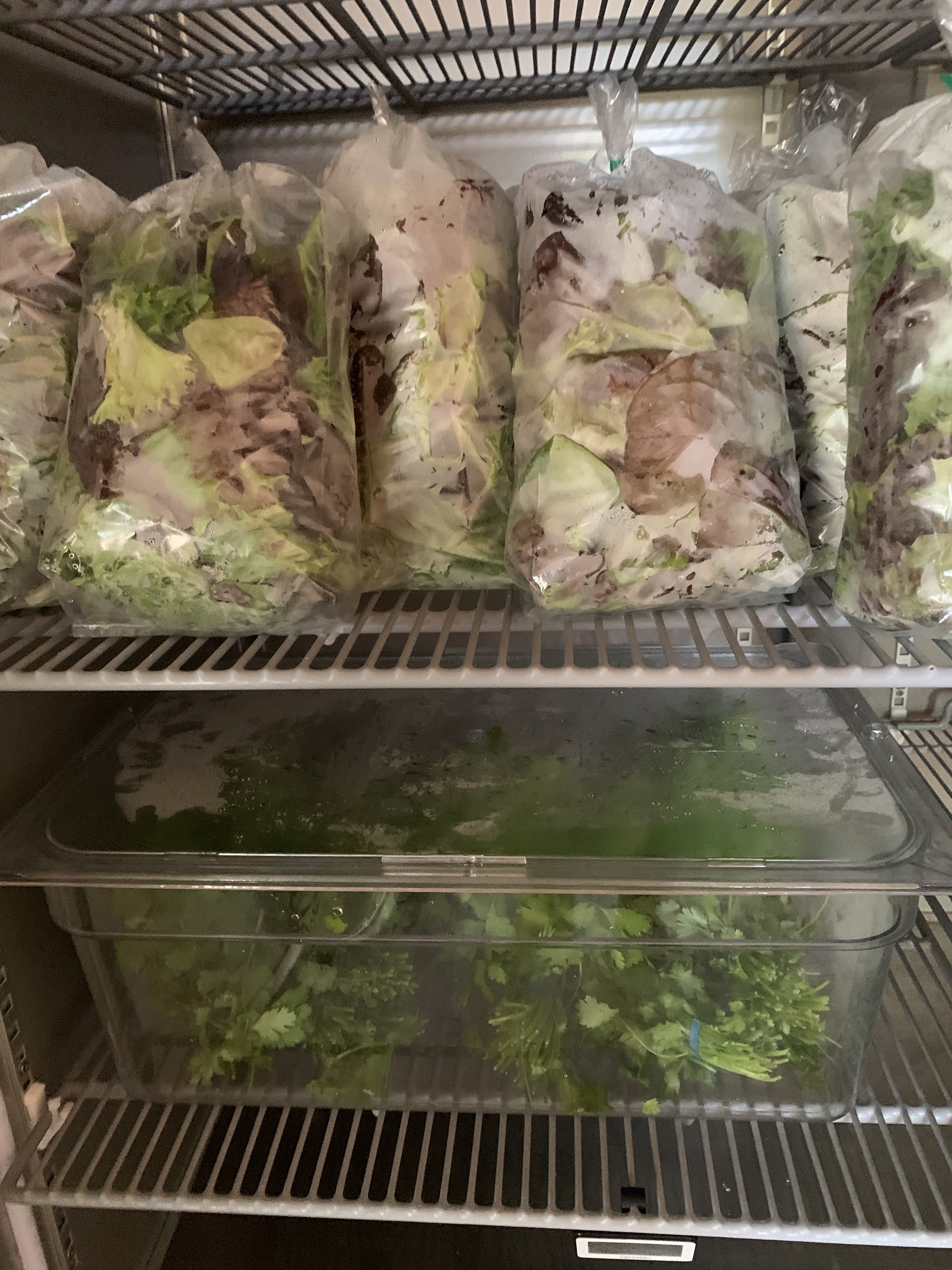 Spring veggies