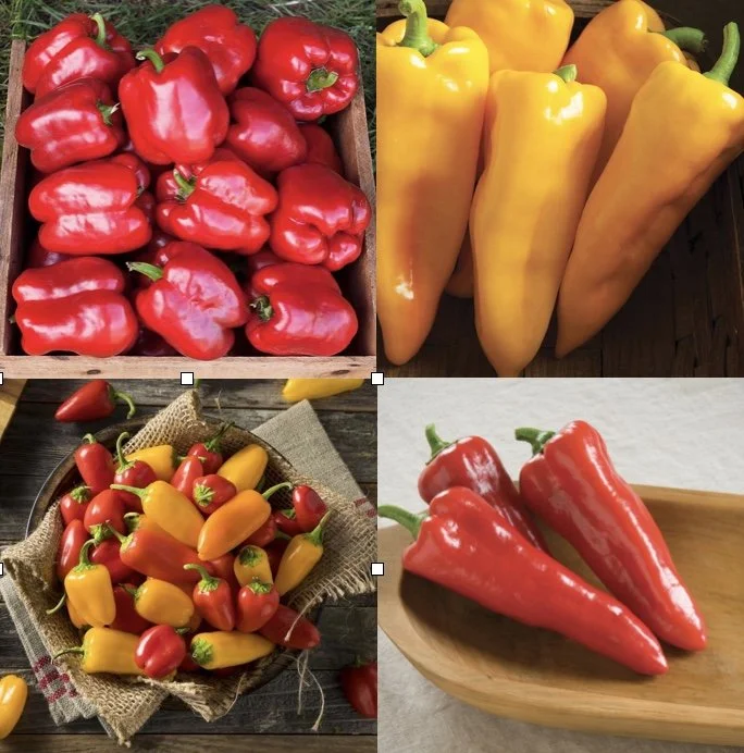 Image 3-1-26 at 6.55 PM.jpeg