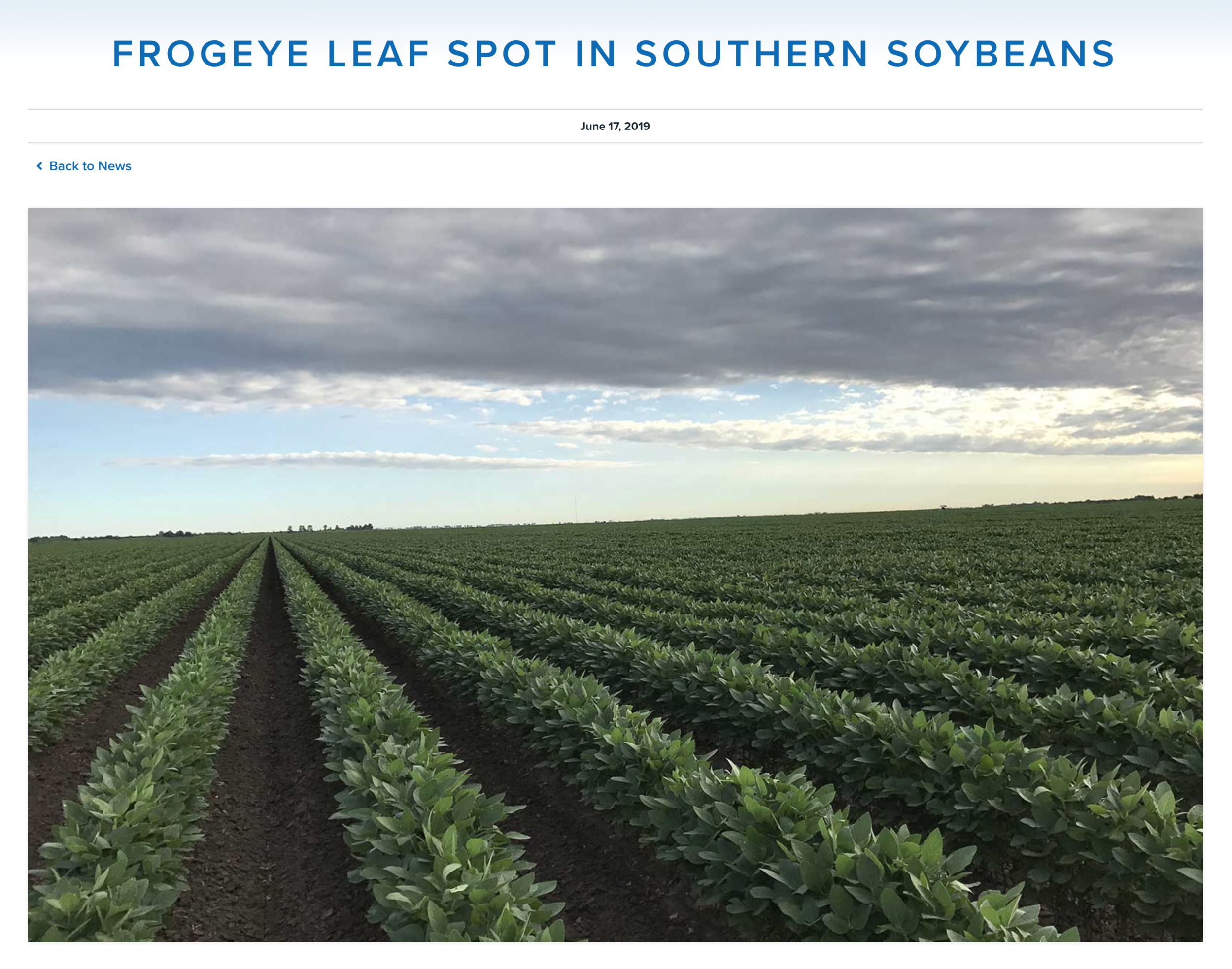 Screen Shot 2019-11-05 at 5.30.19 PM.png