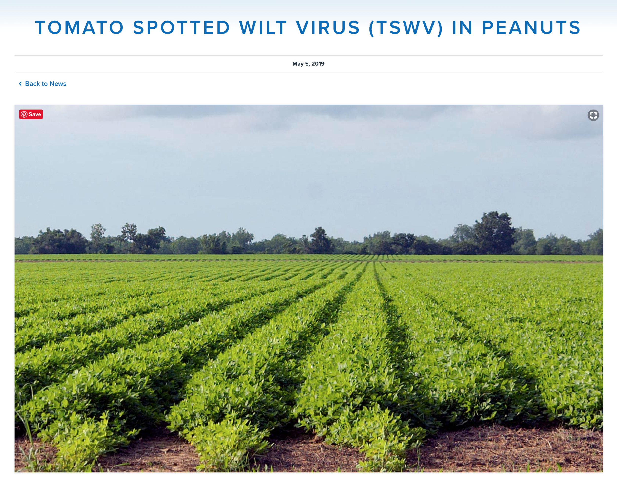 Screen Shot 2019-11-05 at 9.50.53 PM.png