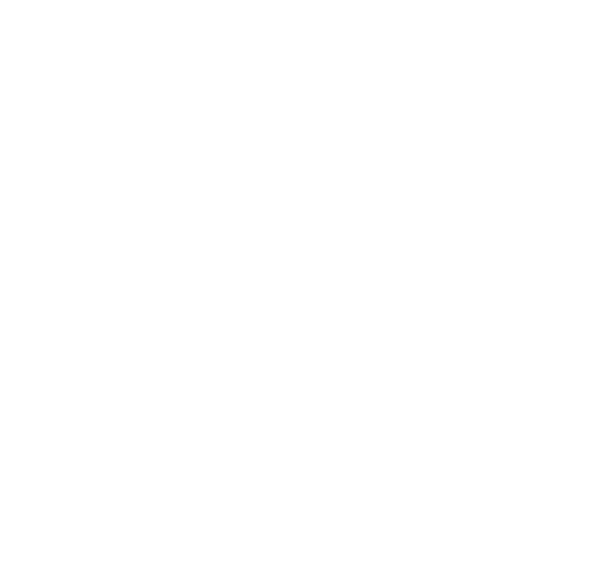 Secura Consulting