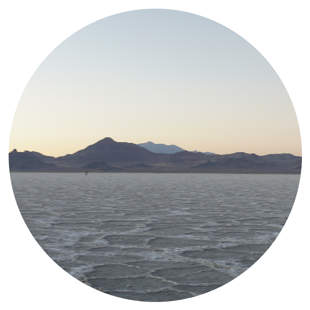 circle 1.png