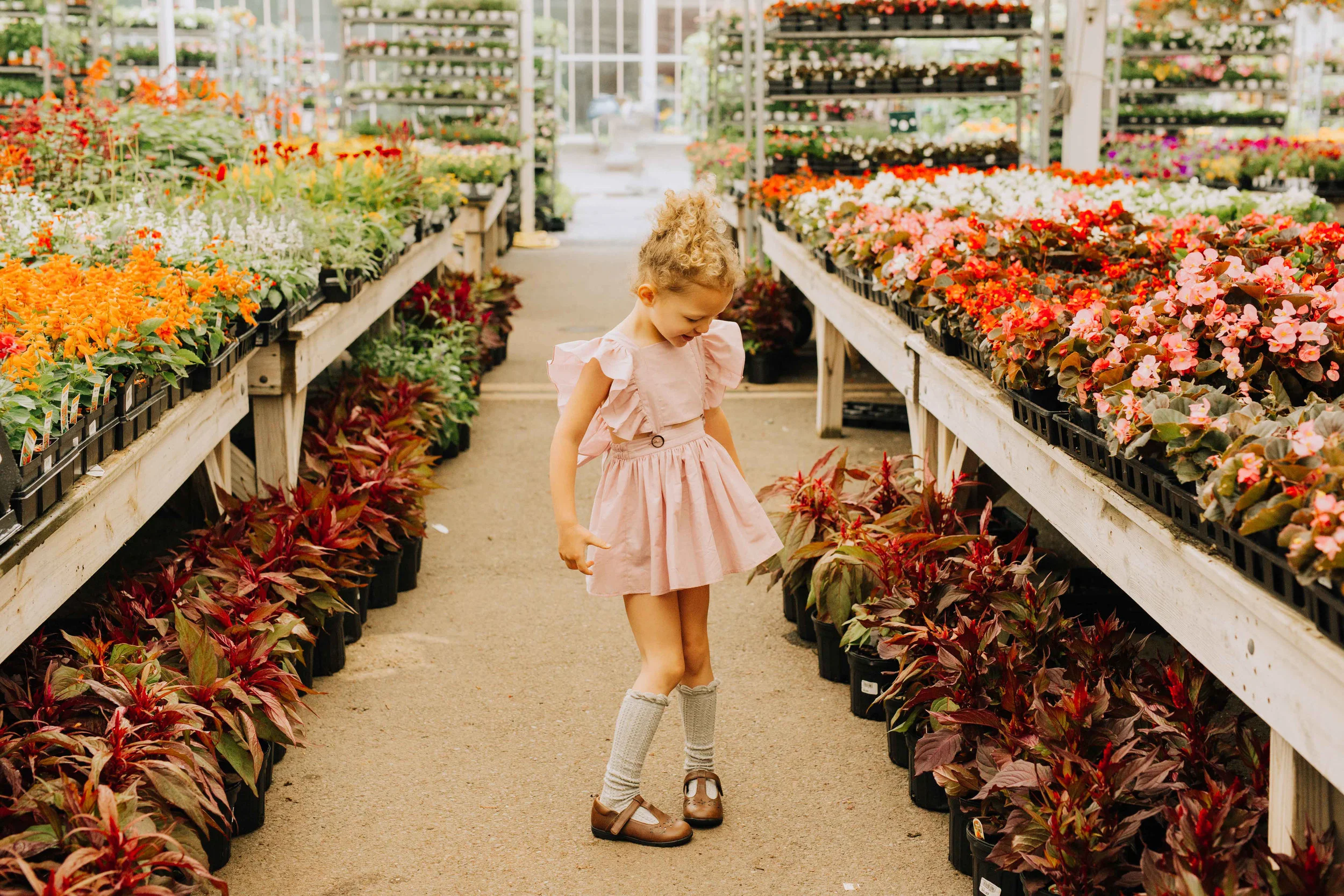 Merrifield-garden-greenhouse-indoor-Jacqueline-Waters-Photography-Red-dress-family- (245).jpg