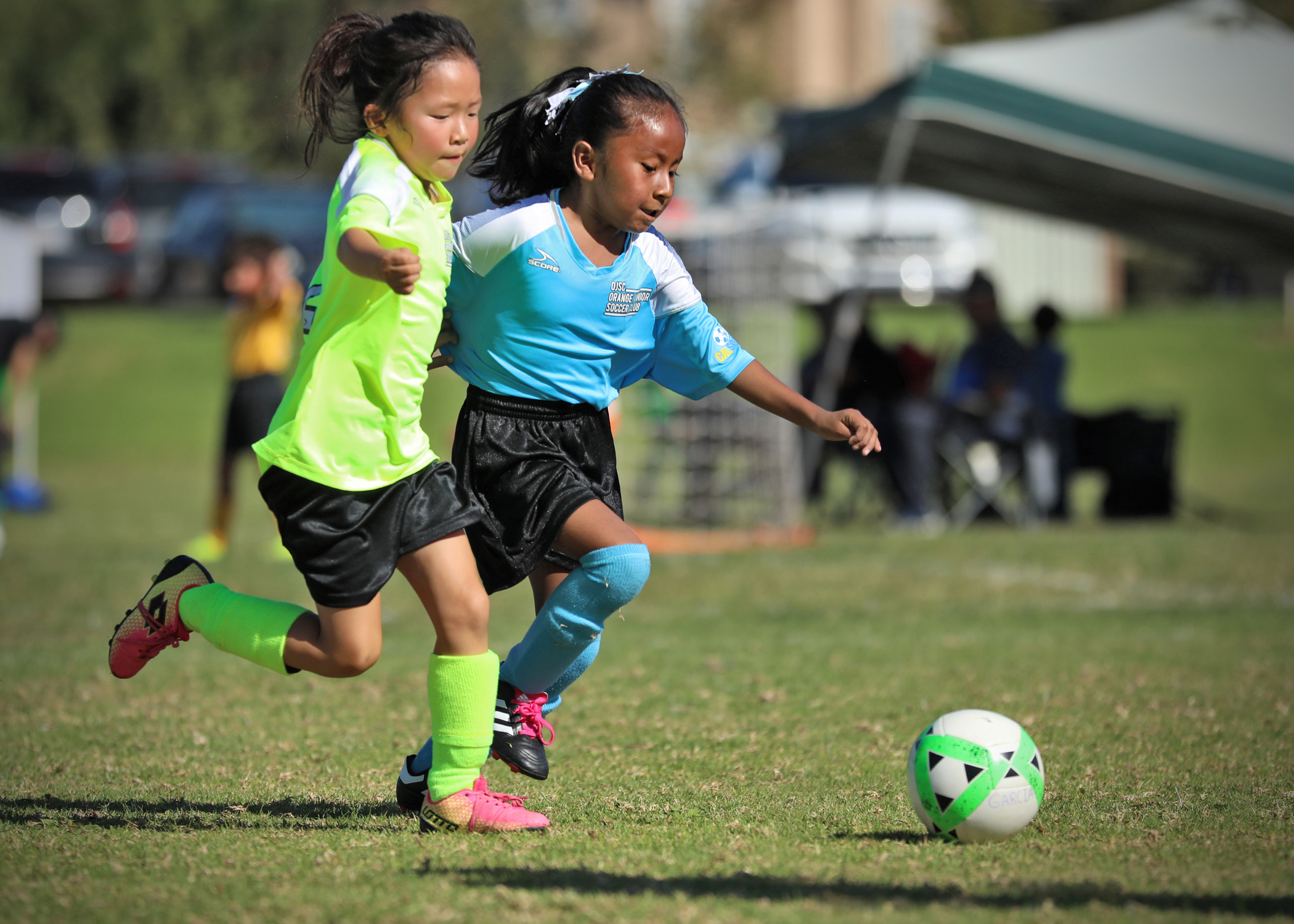 2018 OJSC Blue Dragons
