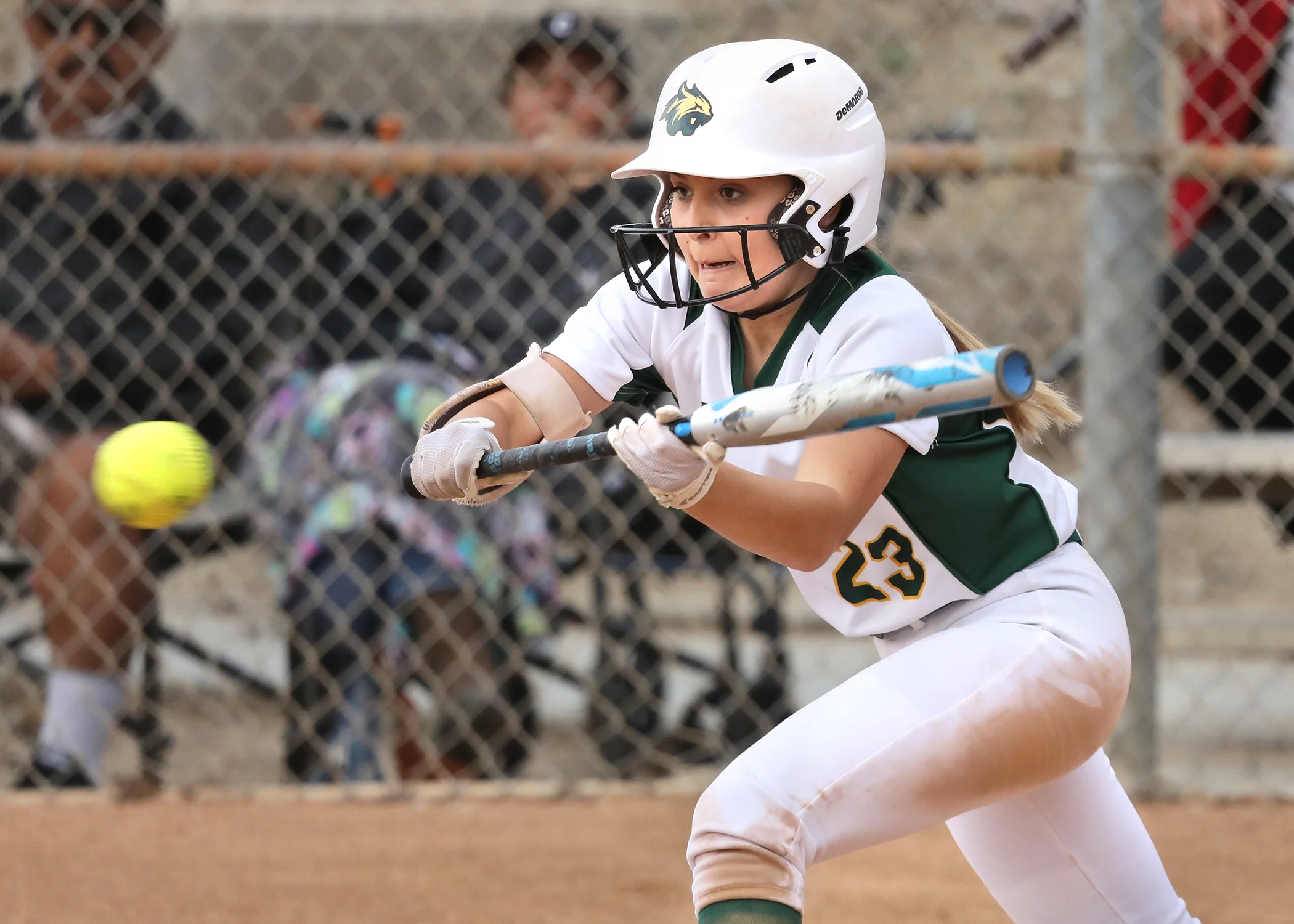2019 Brea Olinda Varsity Softball