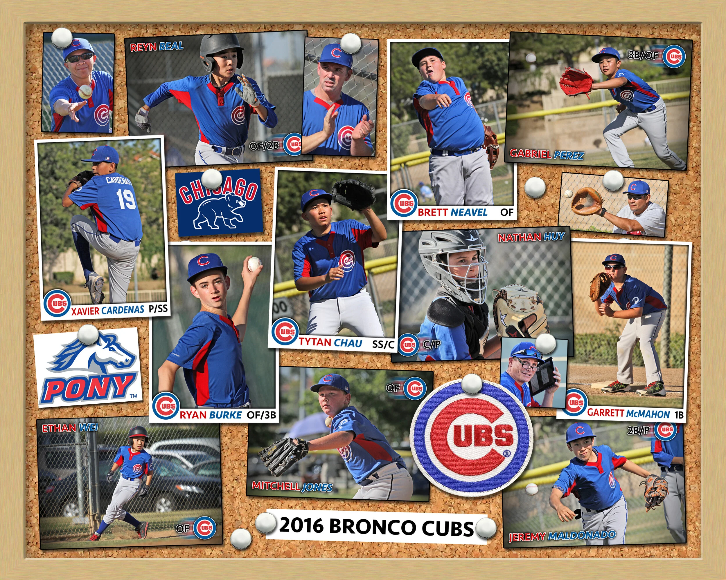 2016 PPB Bronco Cubs