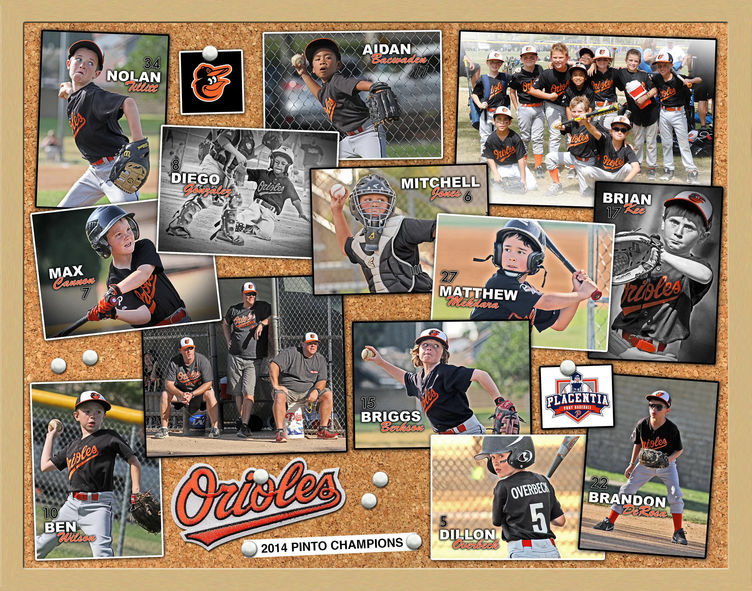 2014 PPB Pinto Orioles