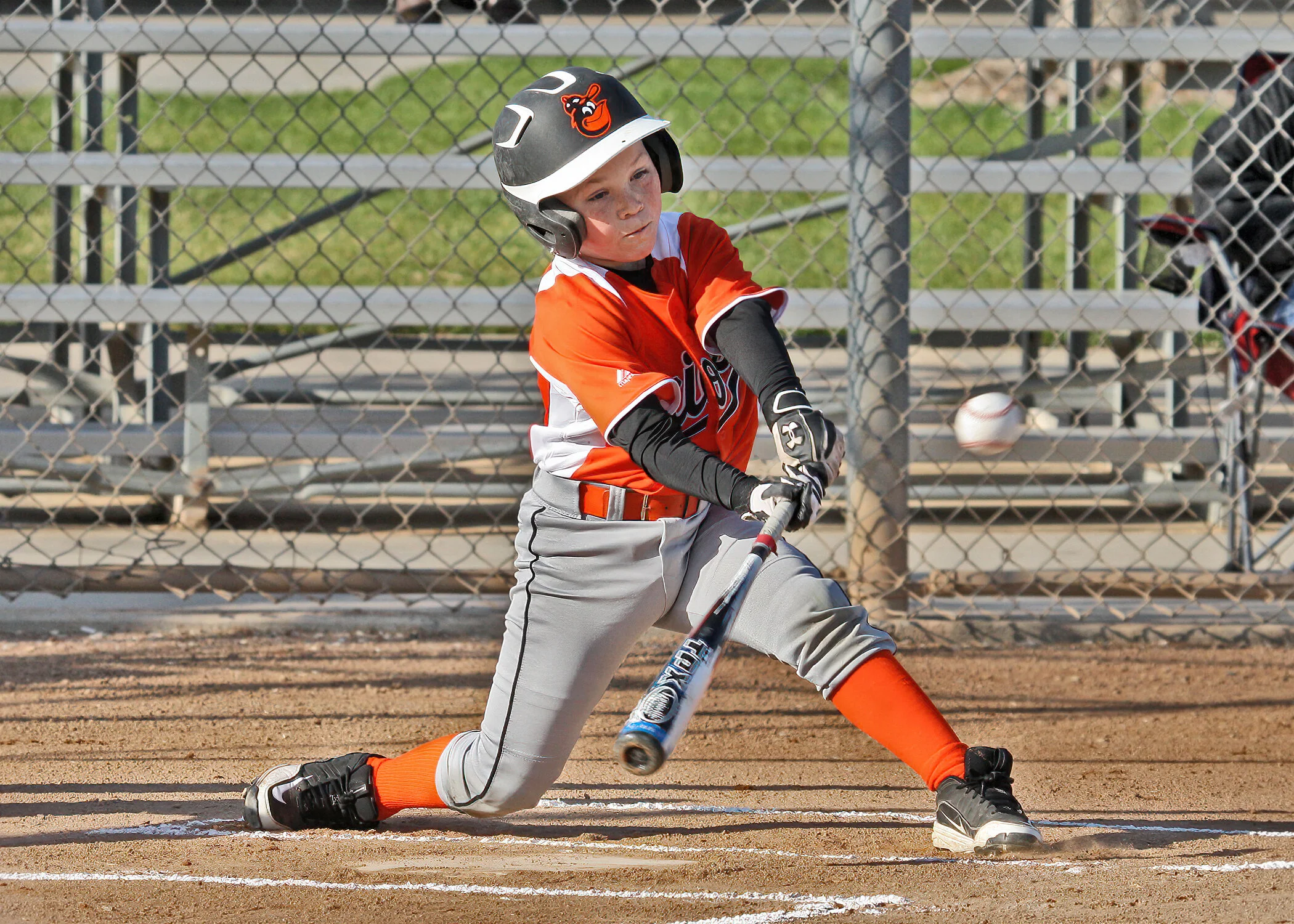 2012 PPB Mustang Orioles
