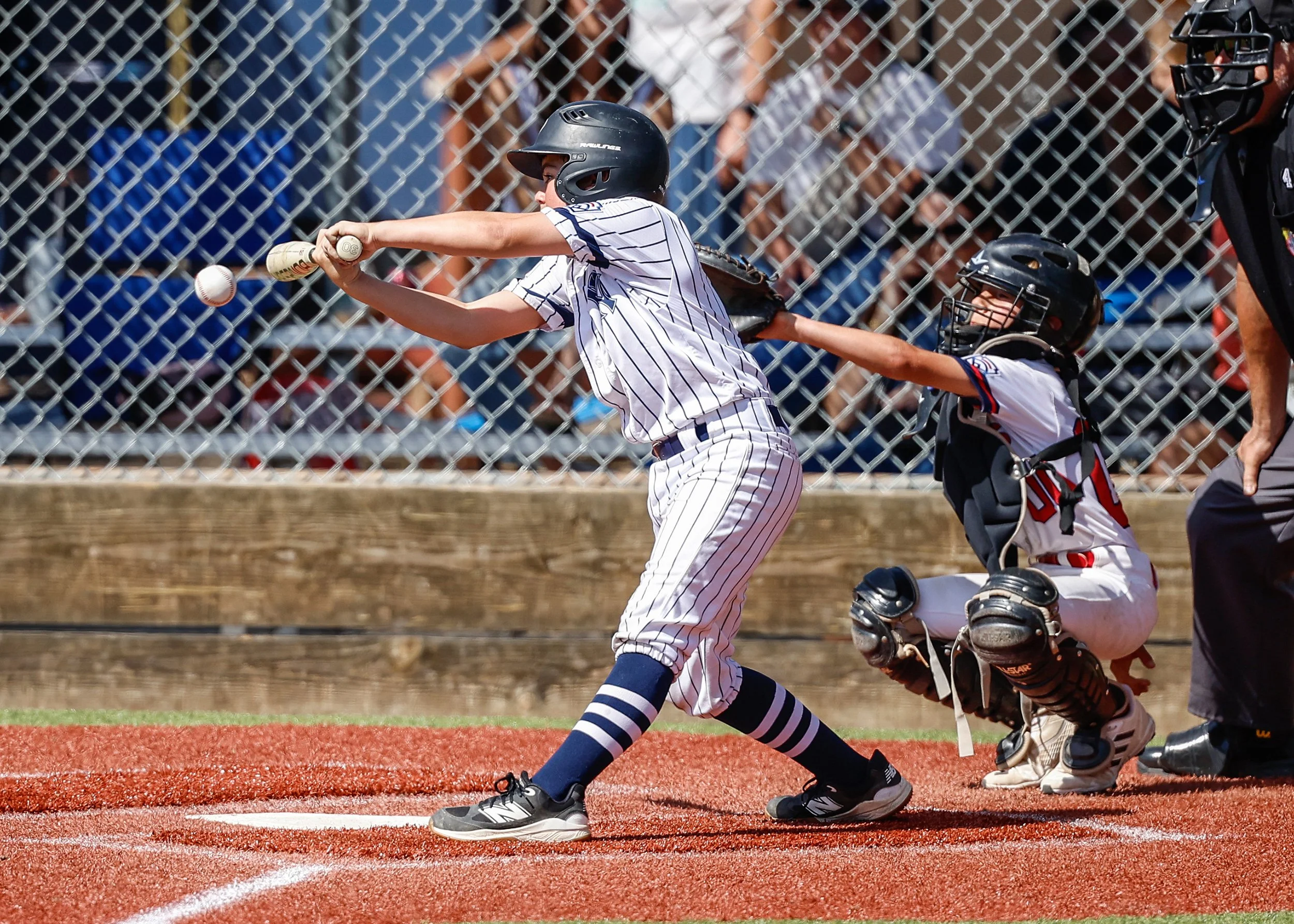 2026 TWLL MAJORS Yankees