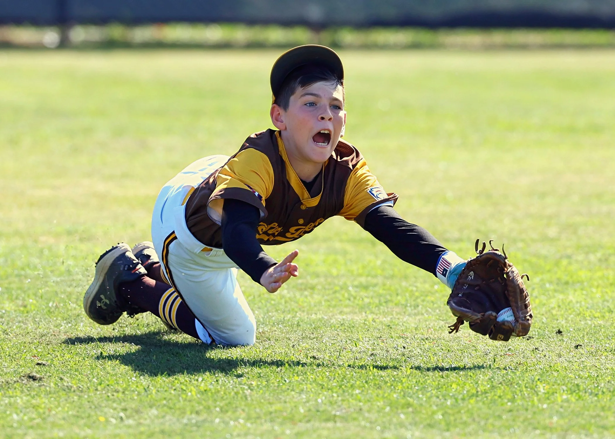 2026 TWLL Majors Padres