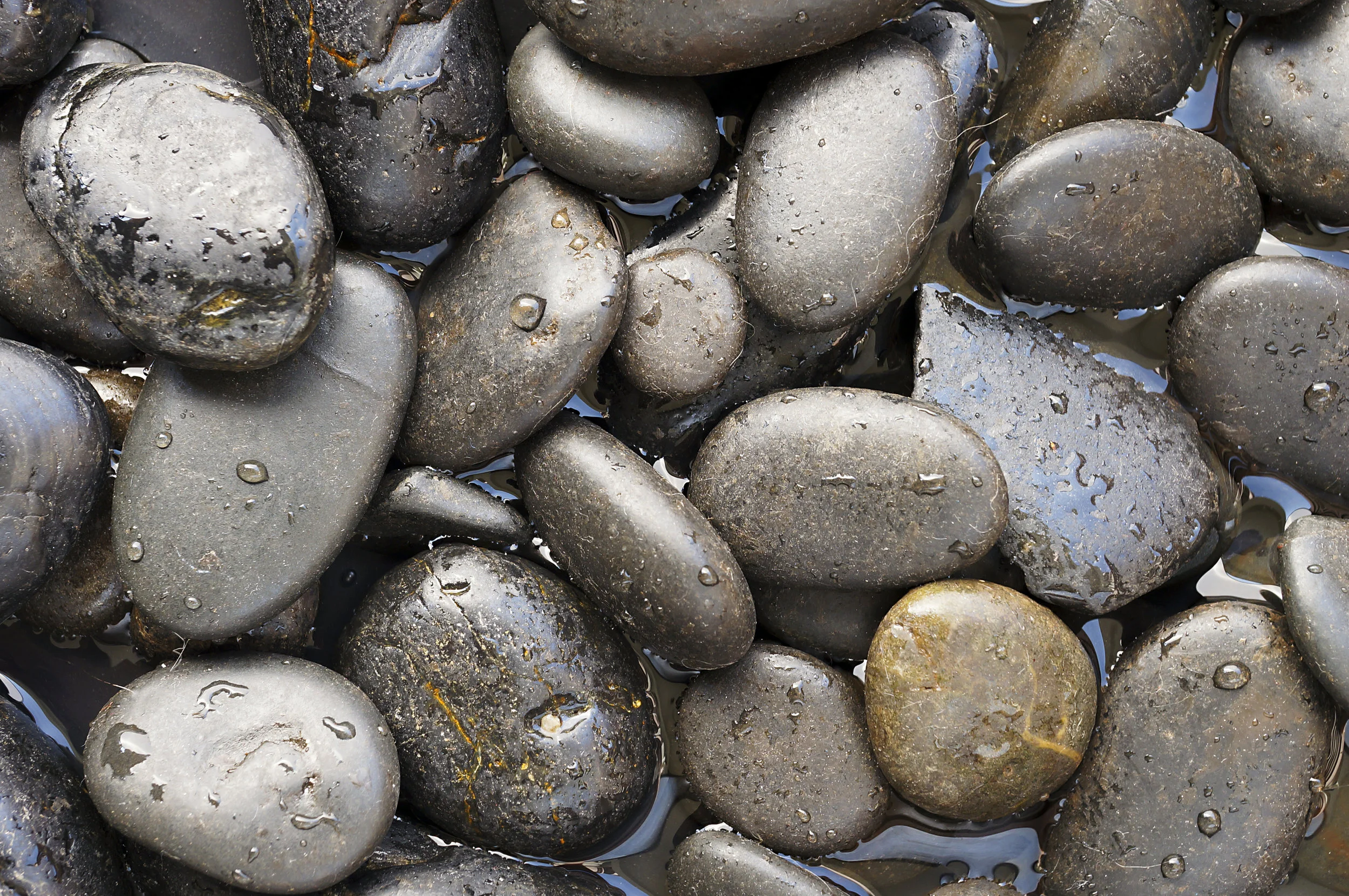 Rocks-wet-shutterstock_97833587.jpg