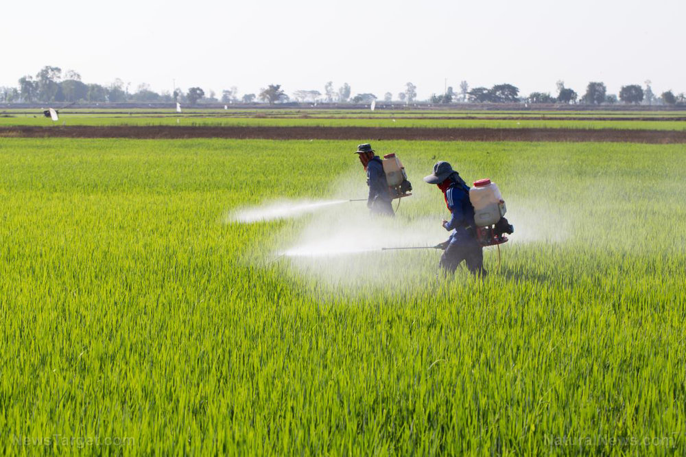 Structural Pest Control Board Courses Young S Seminars Structural Pest Control Board Courses, Farmers Branch Pest Control