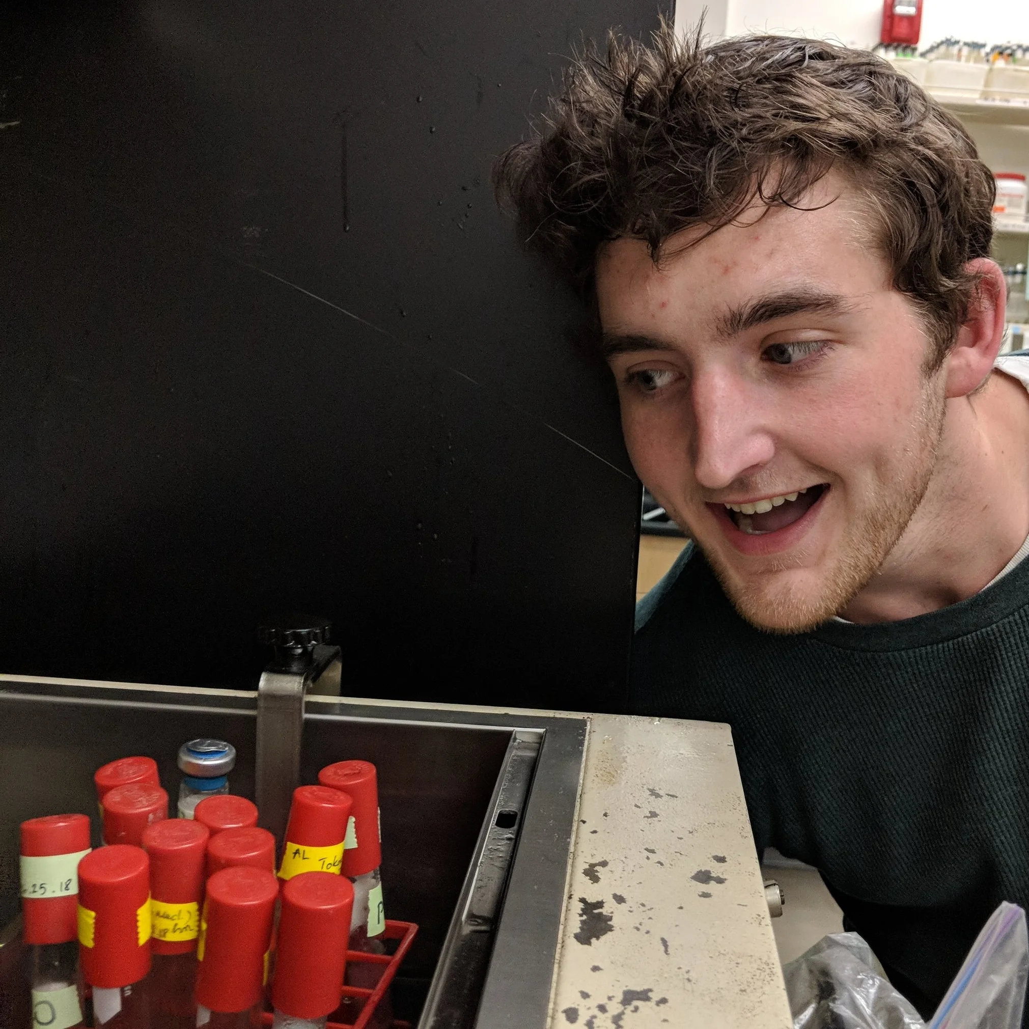 James Musser B.S. Biology, Portland State, 2019 Sulfurisphaera stuff Hiking with my dog and that's it.