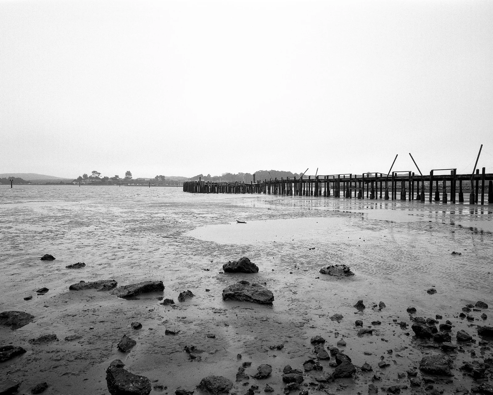 Cali753a.jpg