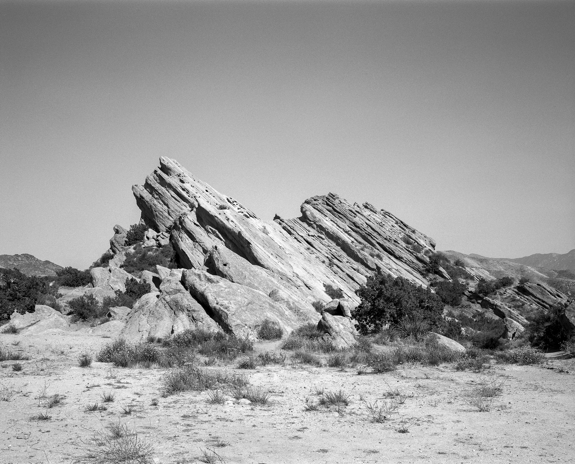 CalJune374a.jpg