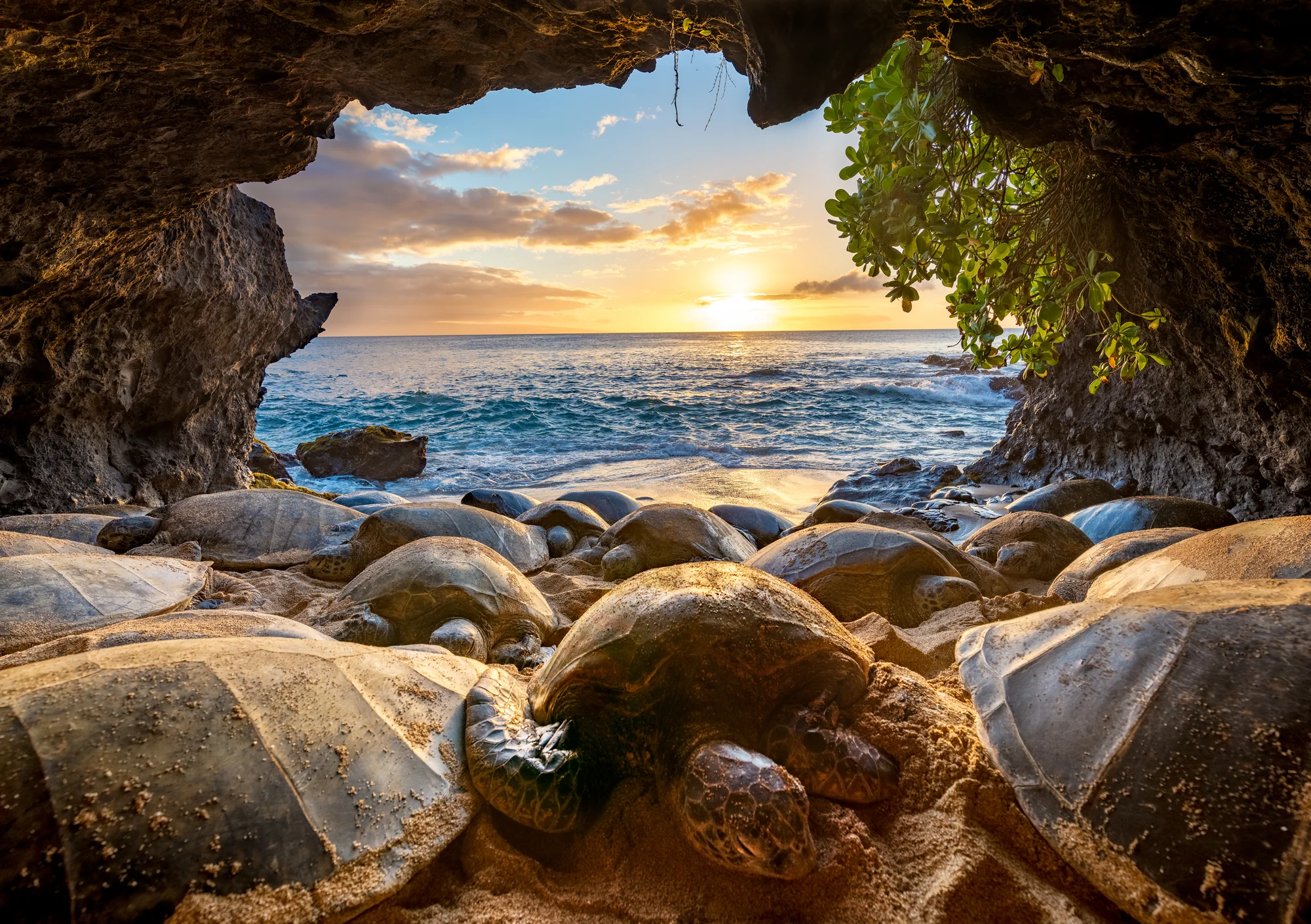 DSC_9102-HDR.jpg