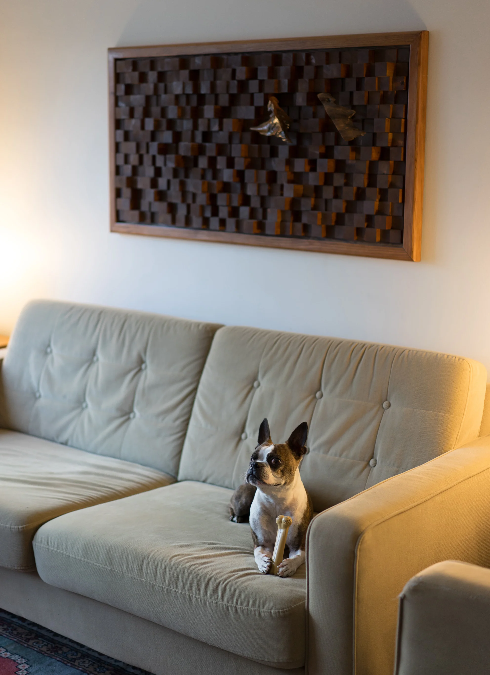 An acoustic sound diffuser reduces echo in a space and improves comfort. Look how comfortable Pasquale is.