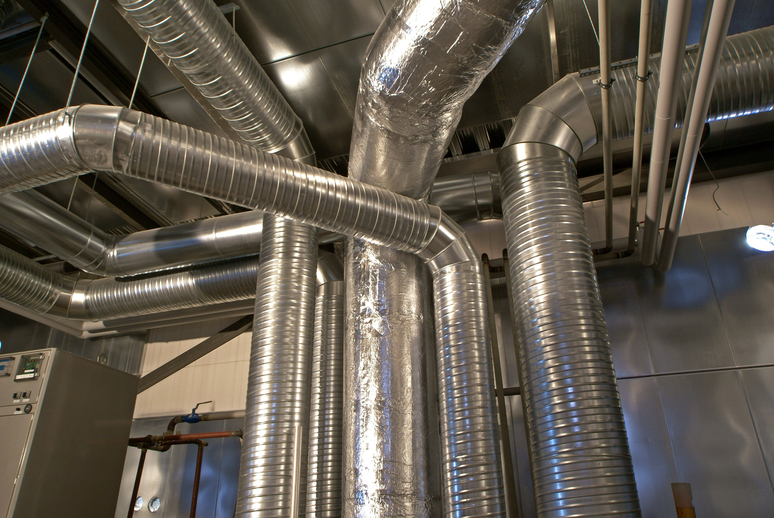 canstockphoto3441746.jpg