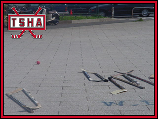 tsha0021.jpg