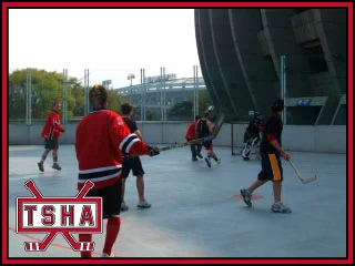 korea2008_rink3.jpg