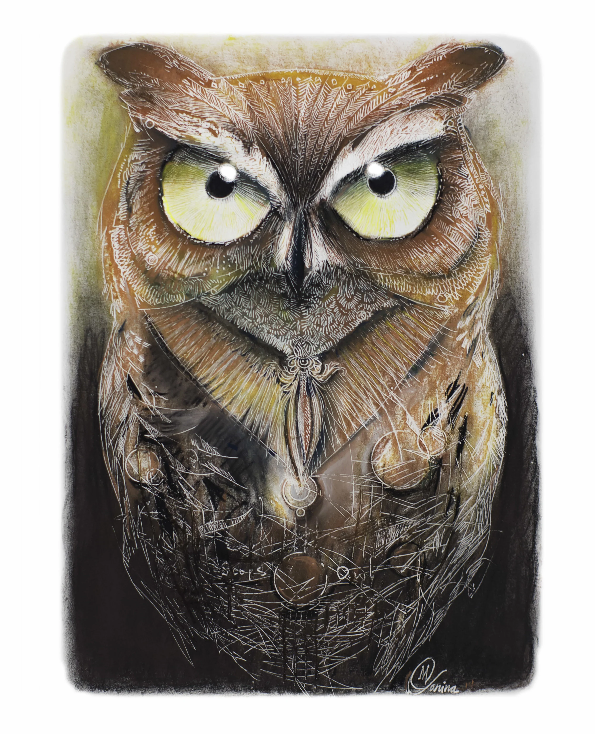 Scops Owl