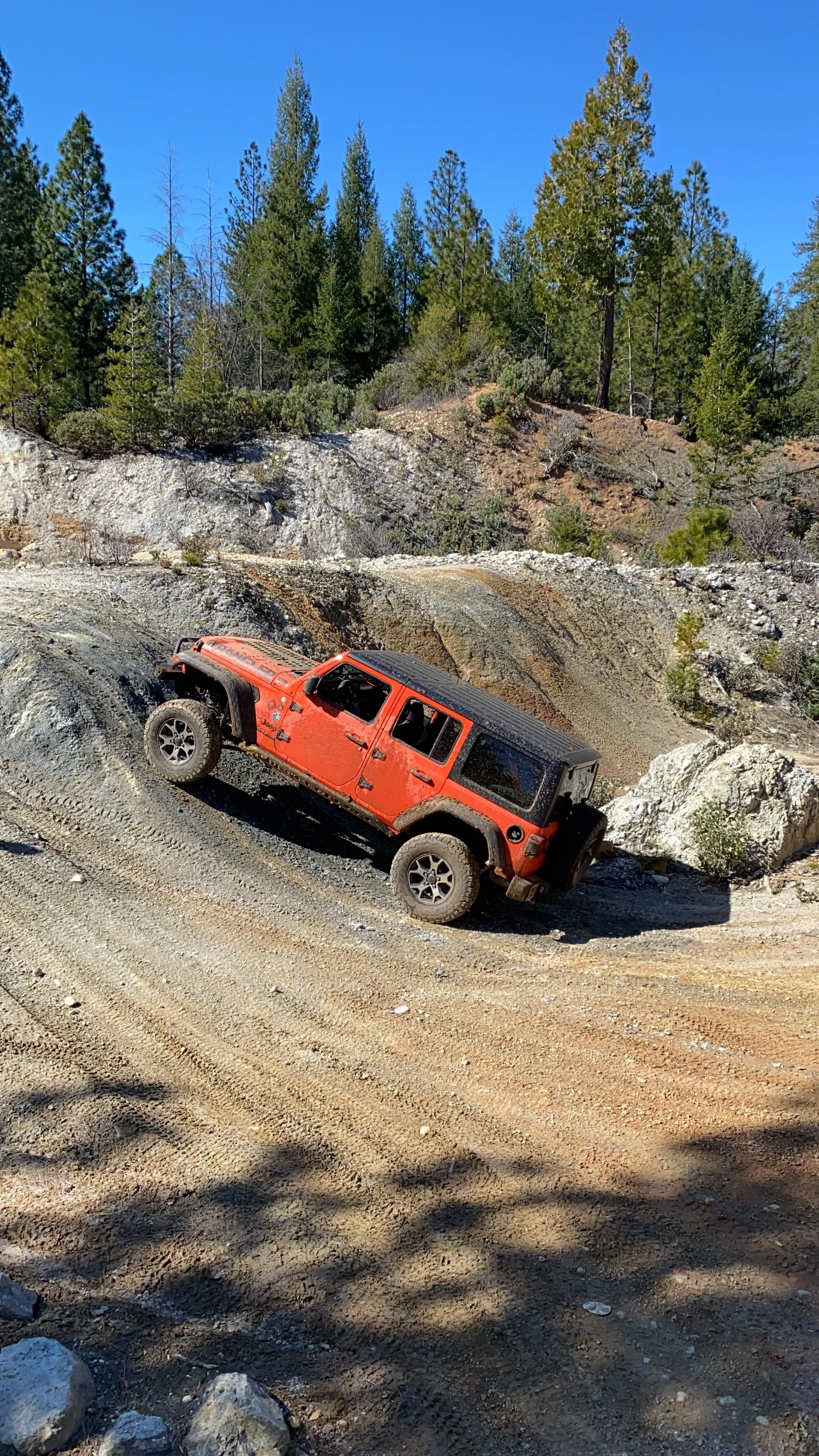 Chelsea and her Trail Haunter JLU