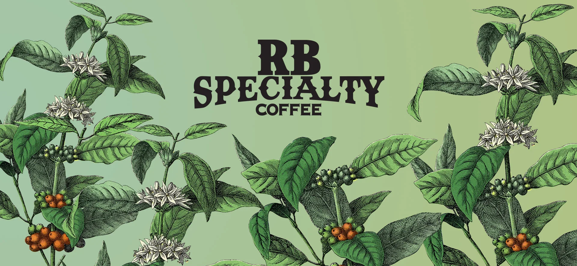 Logo Banner Design