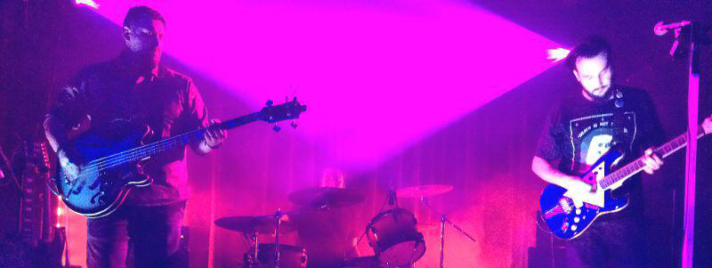 purp.jpg