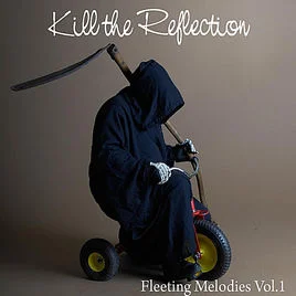 Fleeting Melodies - 2010