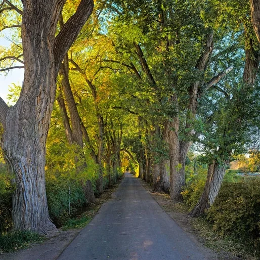 Home_Slideshow_DrivewayBT-1.jpg