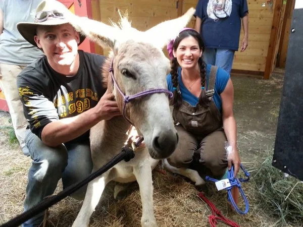 Meet Viola - The Farmstead Donkey, I mean, Pony