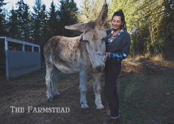 Because I've wanted a horse my whole life...