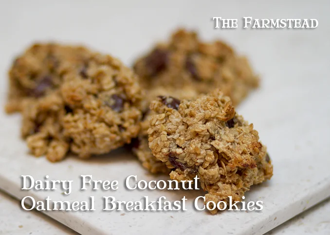 Dairy Free Coconut Oatmeal Breakfast Cookies