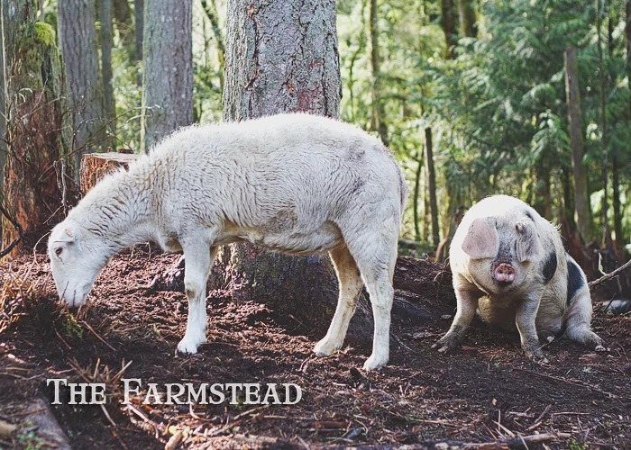 We're Seeing Spots...