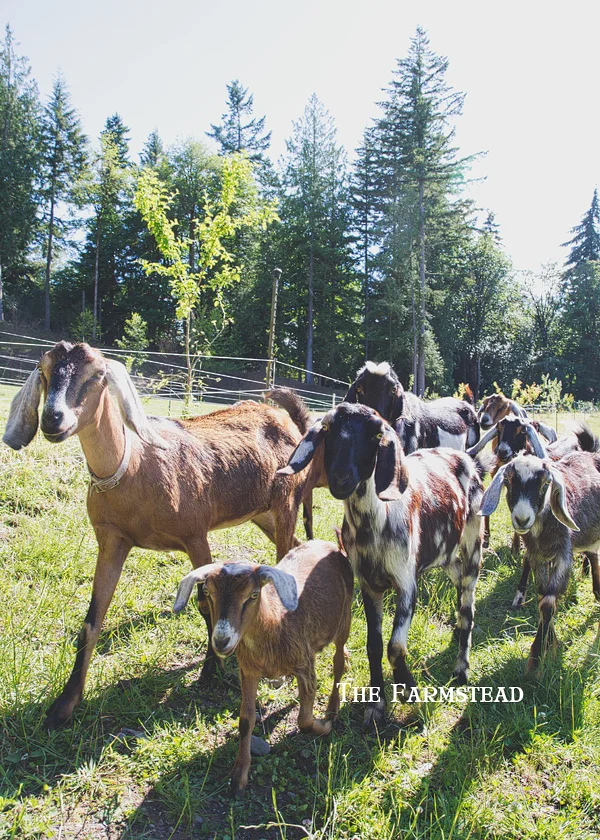 Generosity, Sharing & Peyote