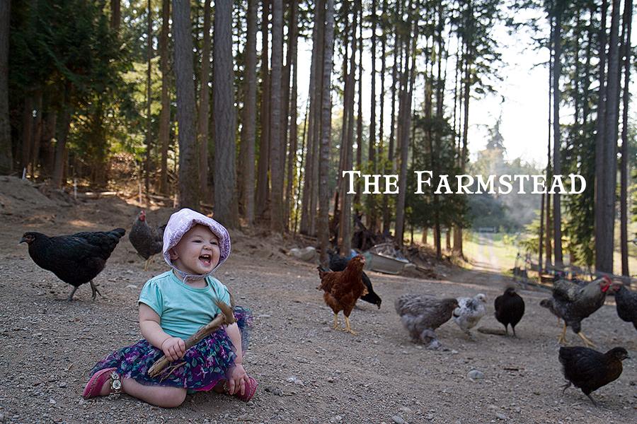 Kickstarter, Concrete and Logs